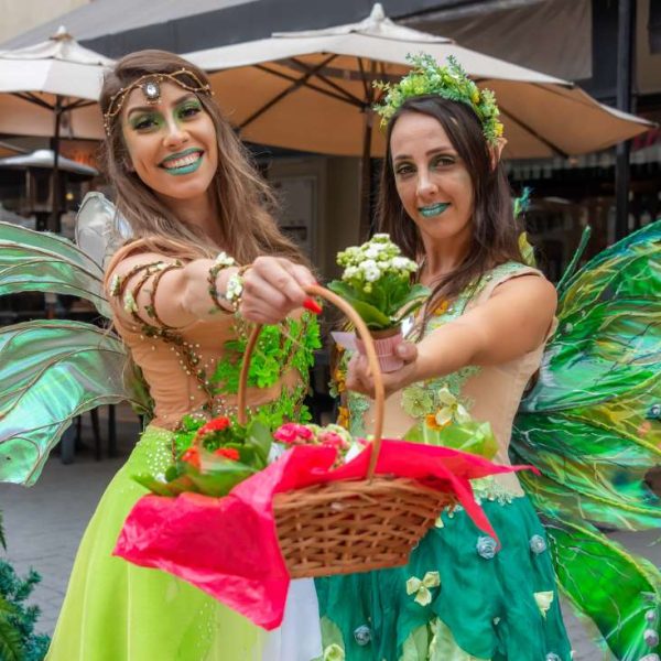 Festival de Primavera no Passeio San Miguel: Celebrando a Estação das Flores com Alegria e Música